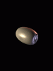 anim240x320_0045.gif